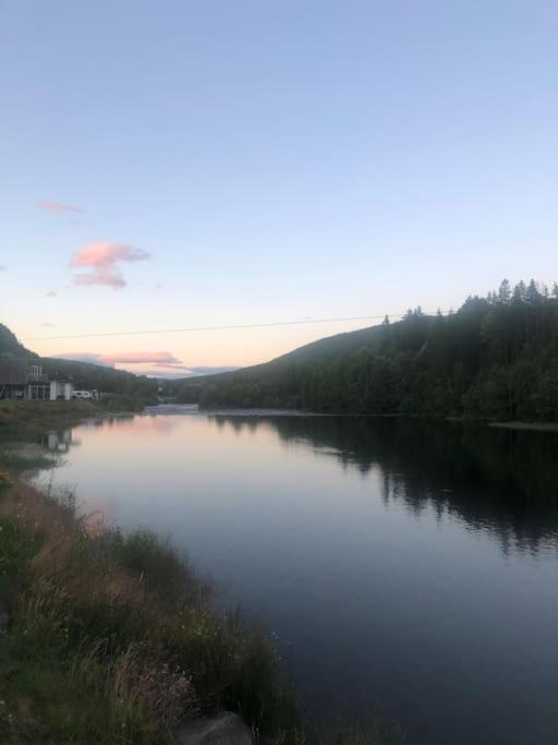 Delikat Hytte Omgitt Av Hallingdals Vakre Fjell Ål Exterior foto
